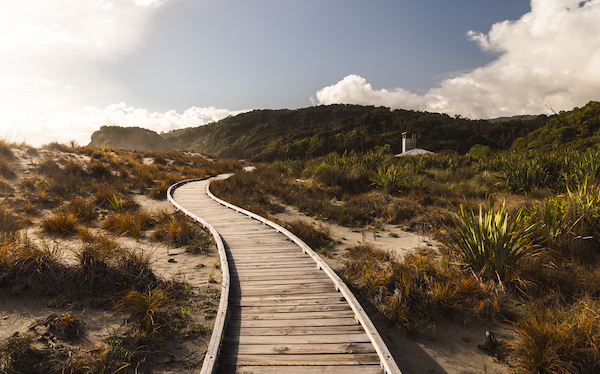 Photo of NZ- for Bob-27.jpg